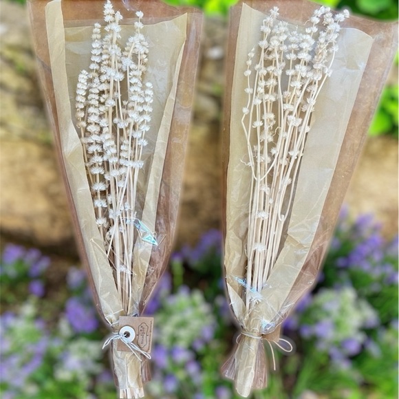 Mud Pie Other - 🎉HP🎉Preserved Lions Grass…beautiful! This deal comes with 2 packs!🎉HP🎉